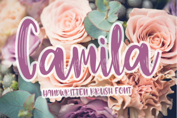 Camila: The Perfect Fun and Chunky Display Font