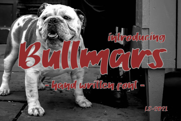 Discover the Bold and Urban Bullmars Font