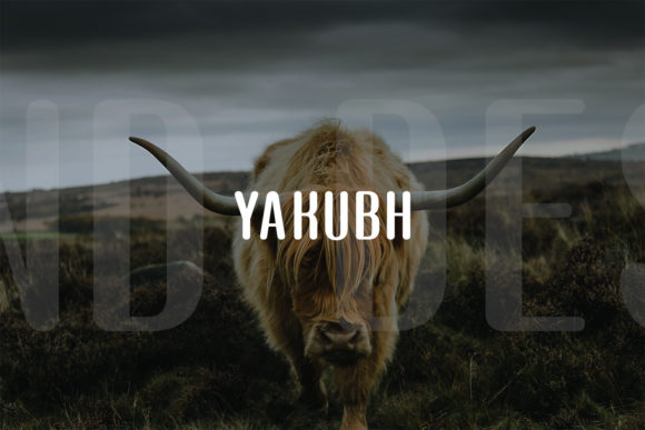 Yakubh: A Modern Display Typeface for Creative Makers